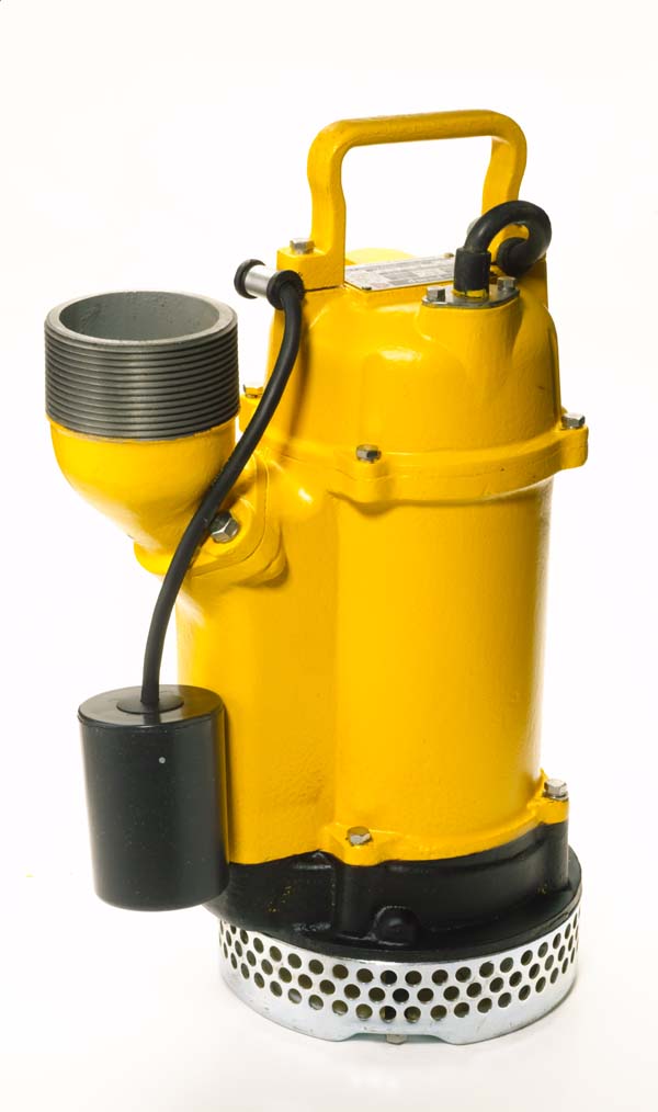 Featured image for “3" Submersible Pump - Electric”